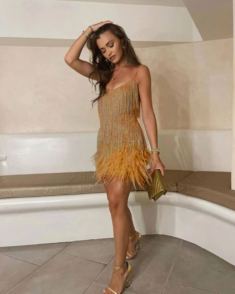 Women’s Fringe Party Dress Mini